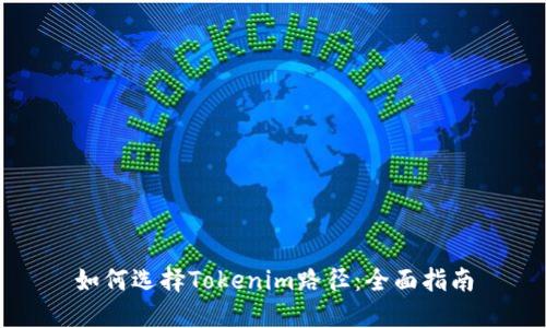 如何选择Tokenim路径：全面指南