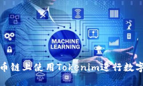 如何在火币链上使用Tokenim进行数字资产管理
