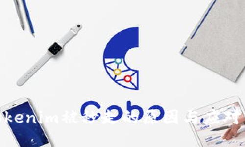 : Tokenim被秒走的原因与应对策略
