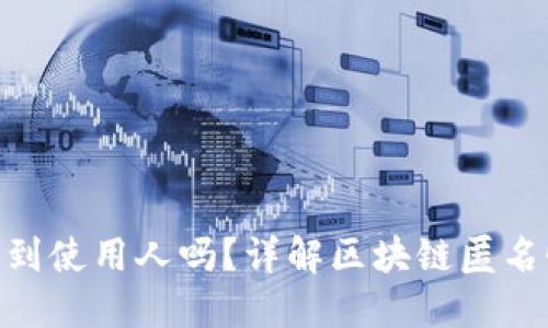 Tokenim能查到使用人吗？详解区块链匿名性与追踪能力