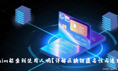 Tokenim能查到使用人吗？详解区块链匿名性与追踪能力