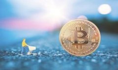 IM2.0 网址钱包简介与使用
