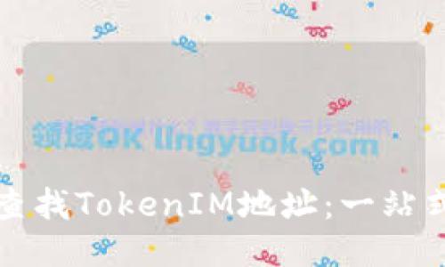 如何查找TokenIM地址：一站式指南