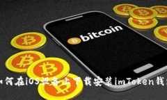 如何在iOS设备上下载安装