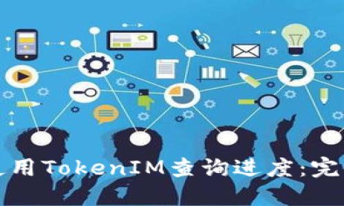 如何使用TokenIM查询进度：完全指南