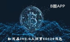   如何在IM2.0上设置ERC20钱