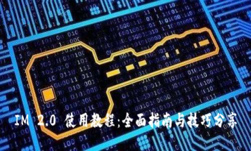 IM 2.0 使用教程：全面指南与技巧分享
