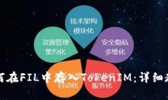 如何在FIL中存入TokenIM：详