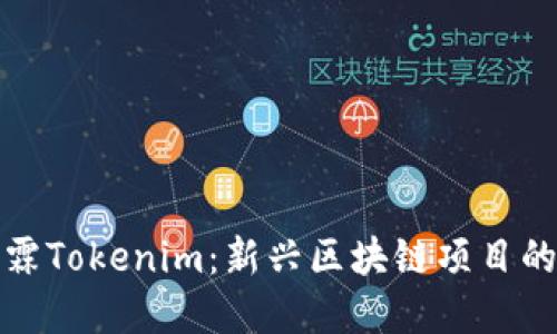 杨昕霖Tokenim：新兴区块链项目的崛起